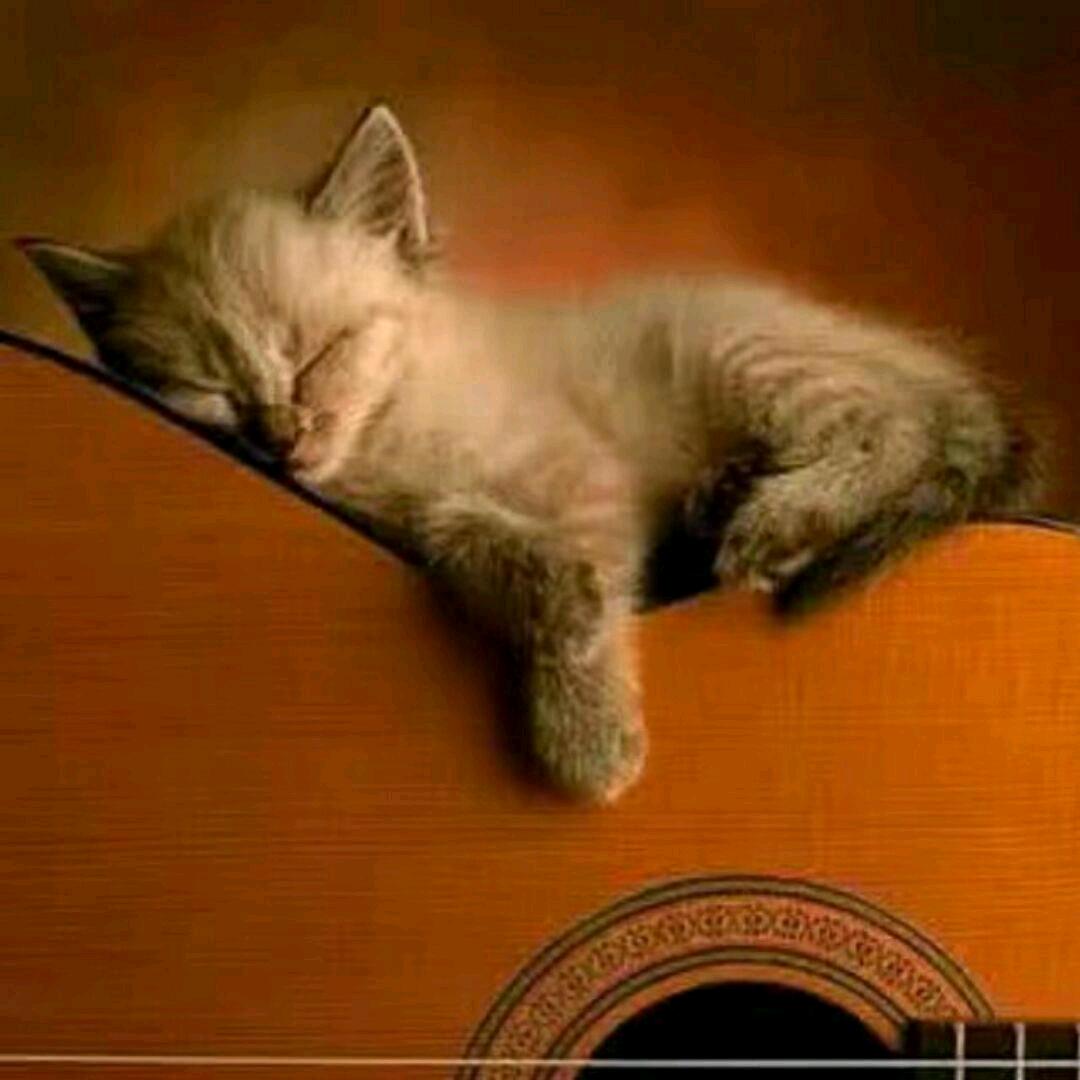 承宜（拒私聊）