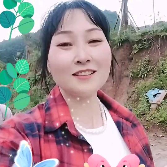 刘林姐