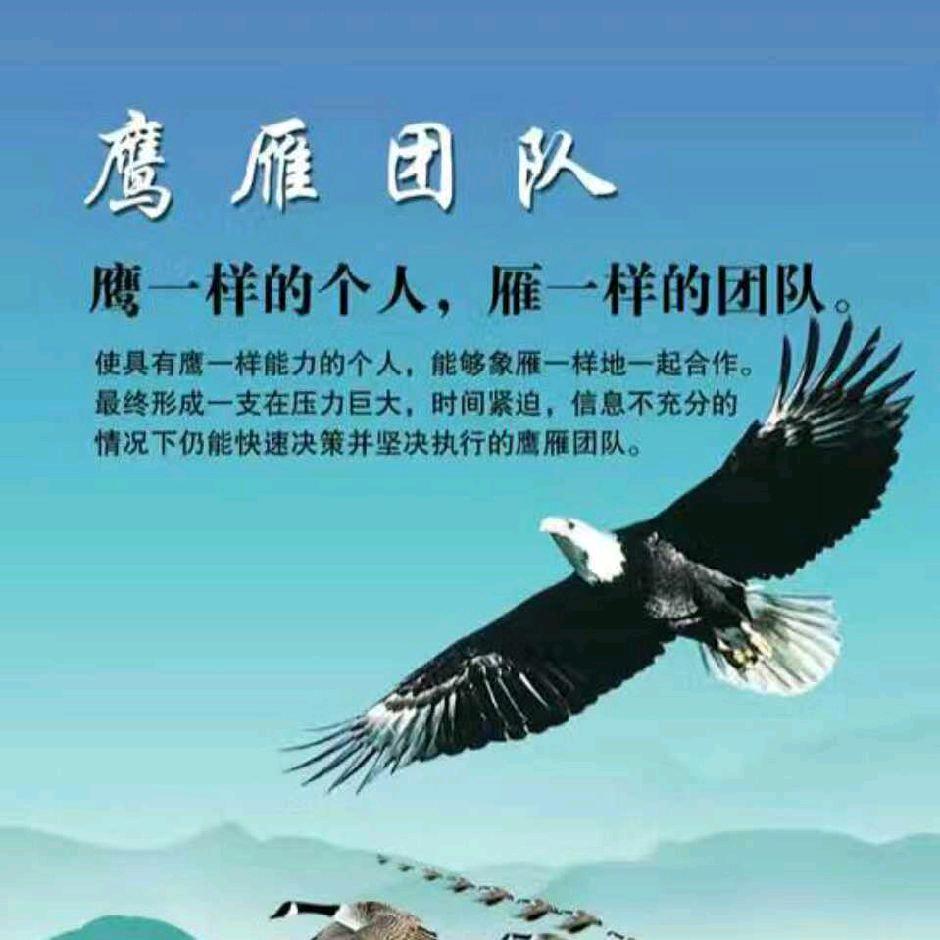 雄鹰飞翔，在非洲科特迪瓦