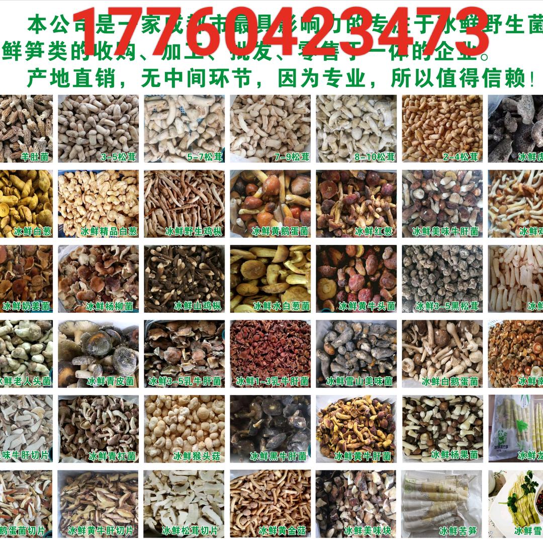 云南野生菌批发