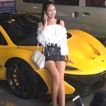 美鑫董事小说