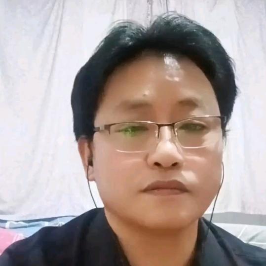 打鸟不飞