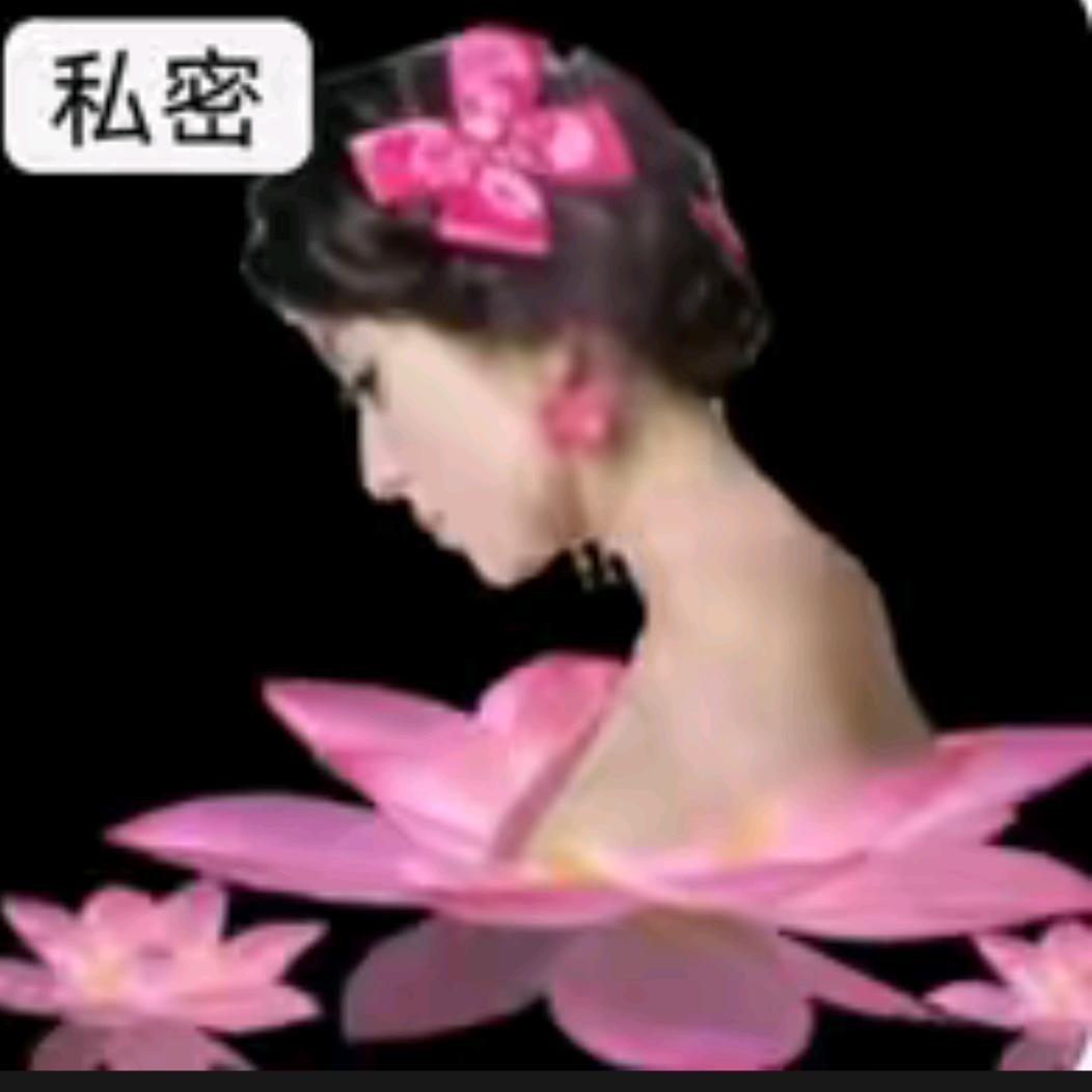 手机用户530m6y