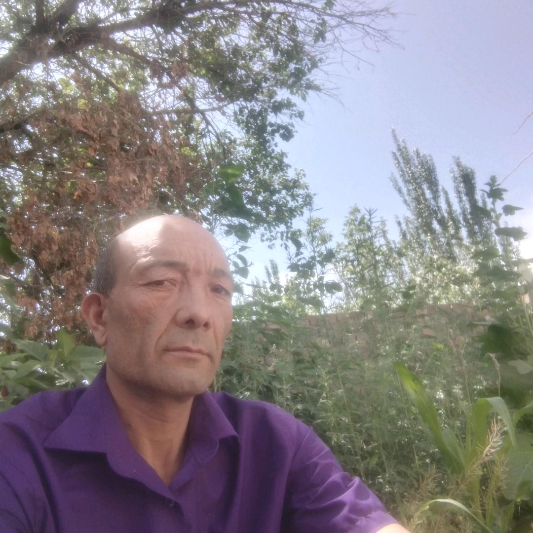 mamatqan, burkut用户86