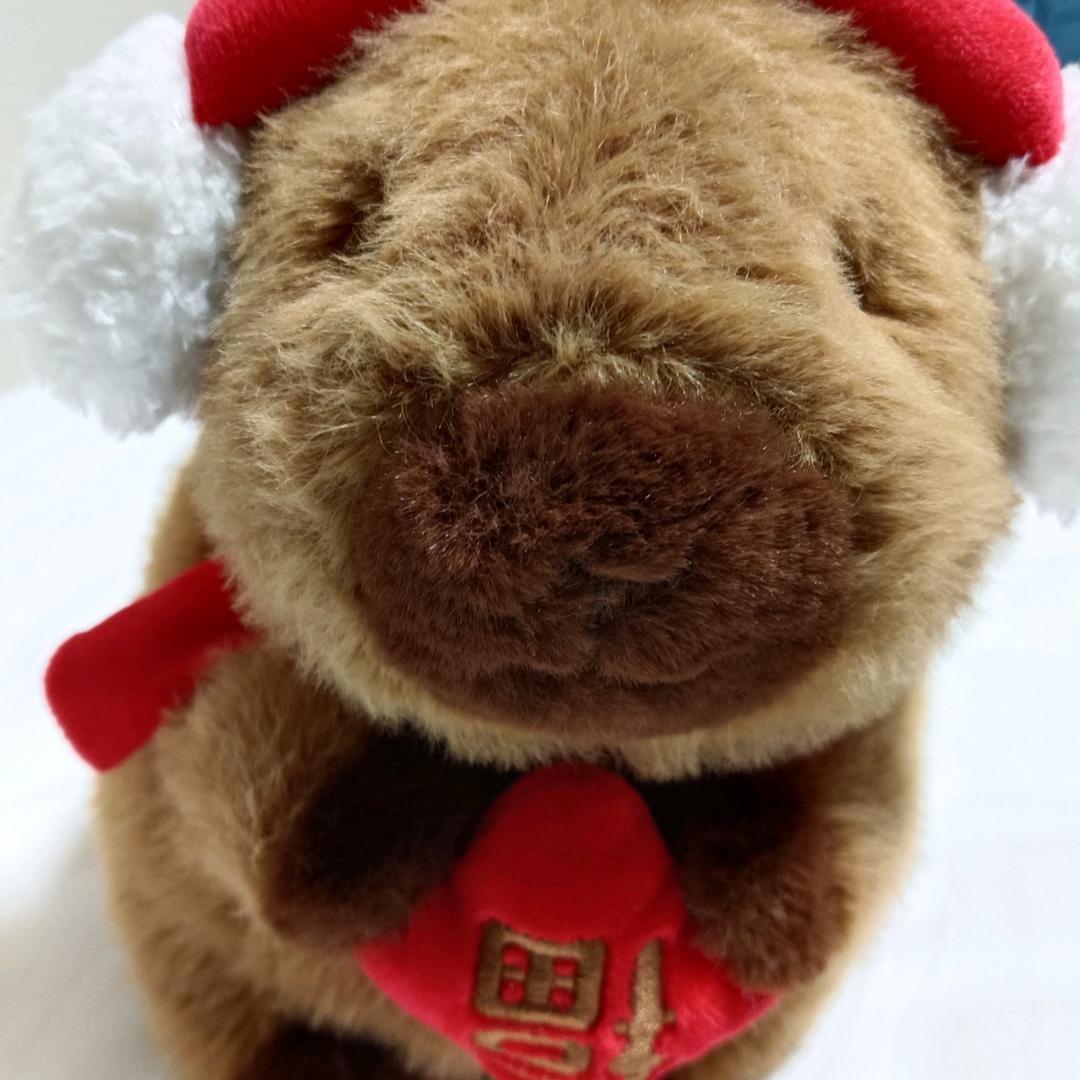 hl🐻