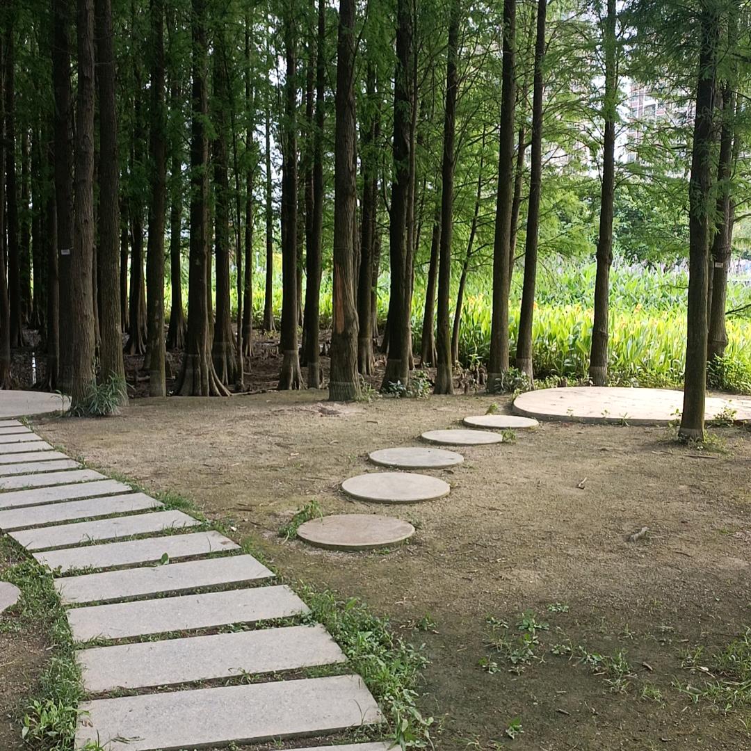 巹㞼