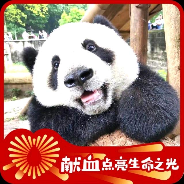 蒹葭: