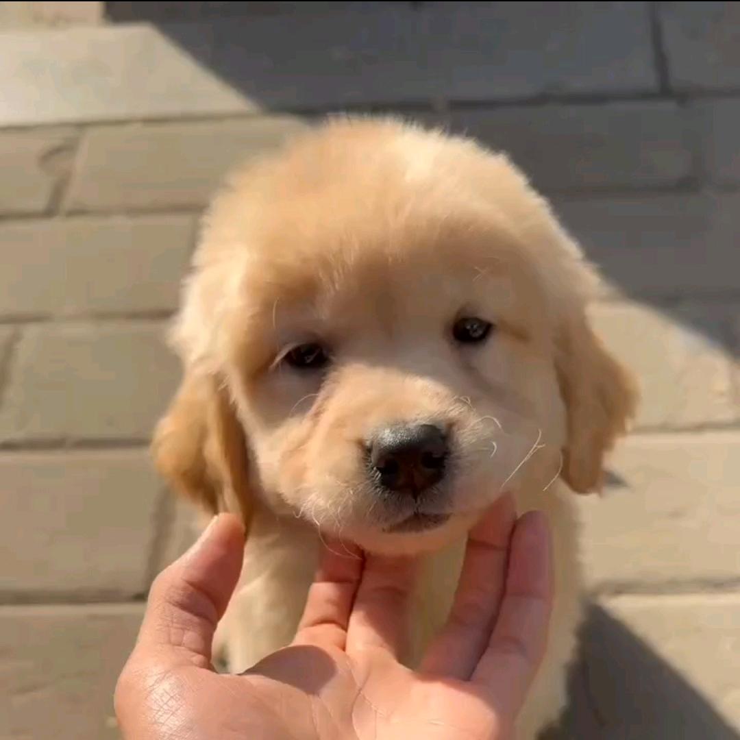 入剧太深