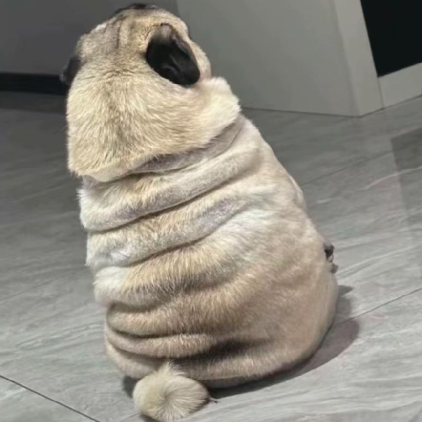 可以