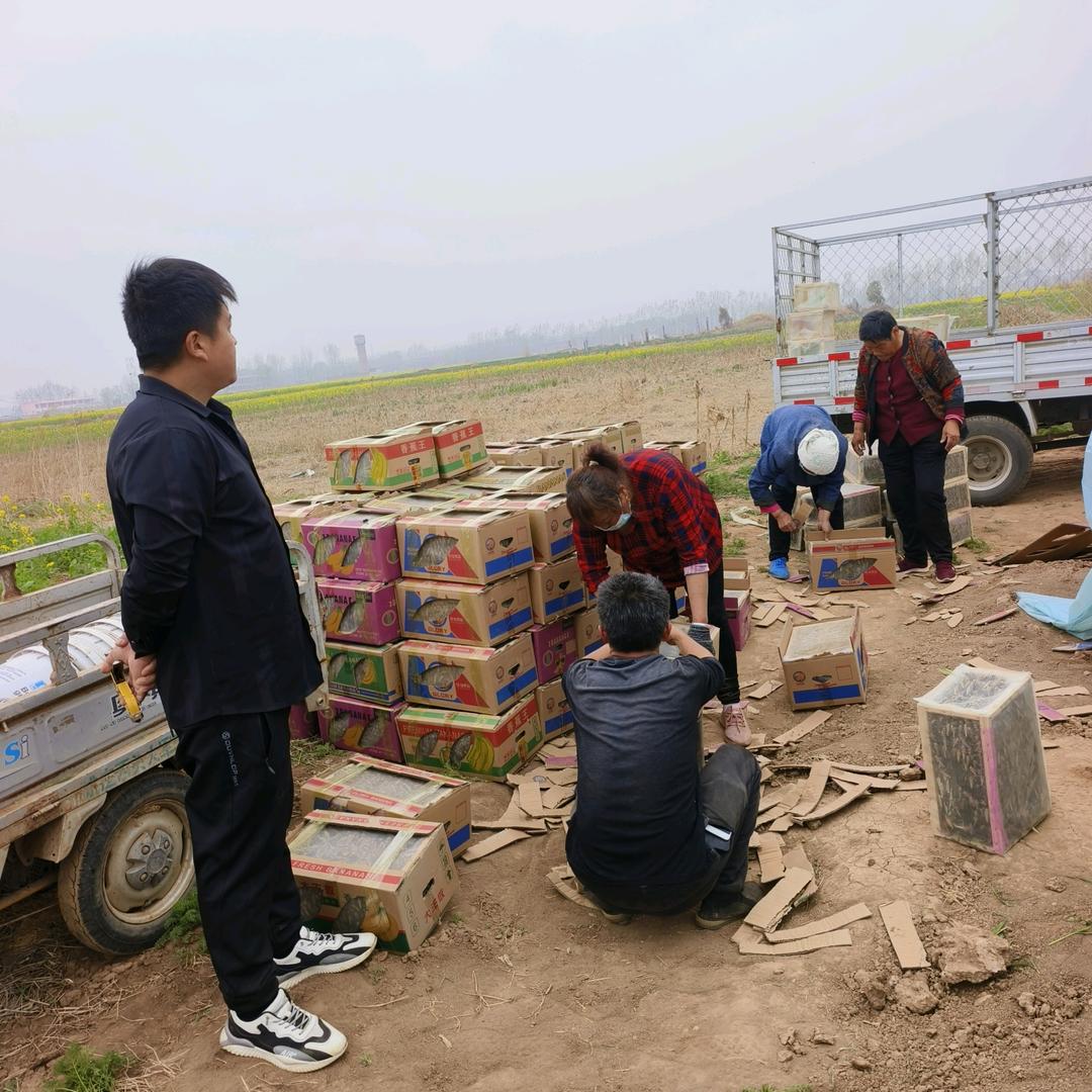 临清市辉蝗昆虫养殖有限公司