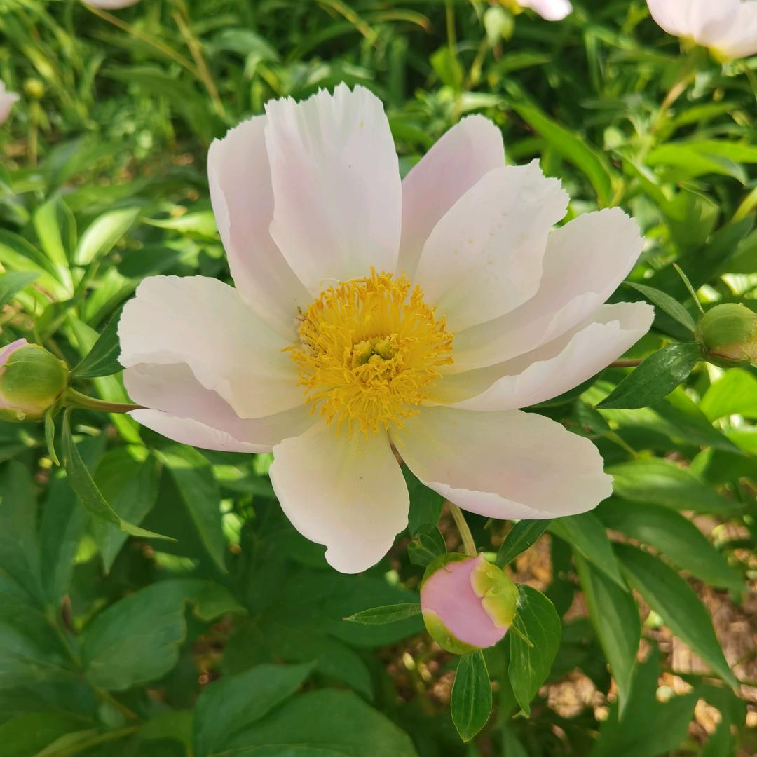 ………🦋🦋缘来是你💍💍………