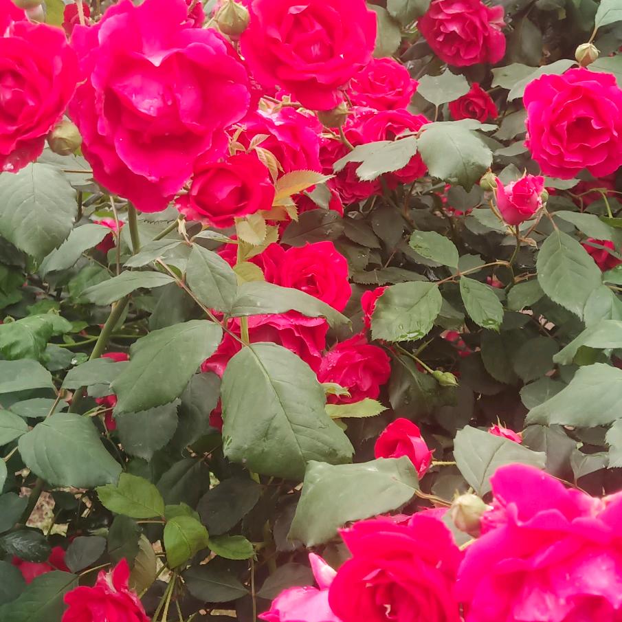 找回一切真难！！！