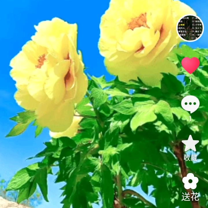 知足常乐