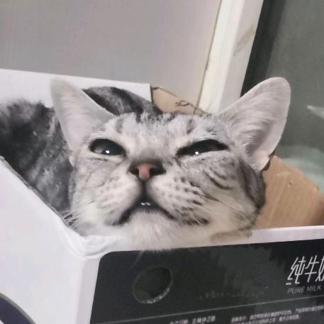 比奇堡优秀市民