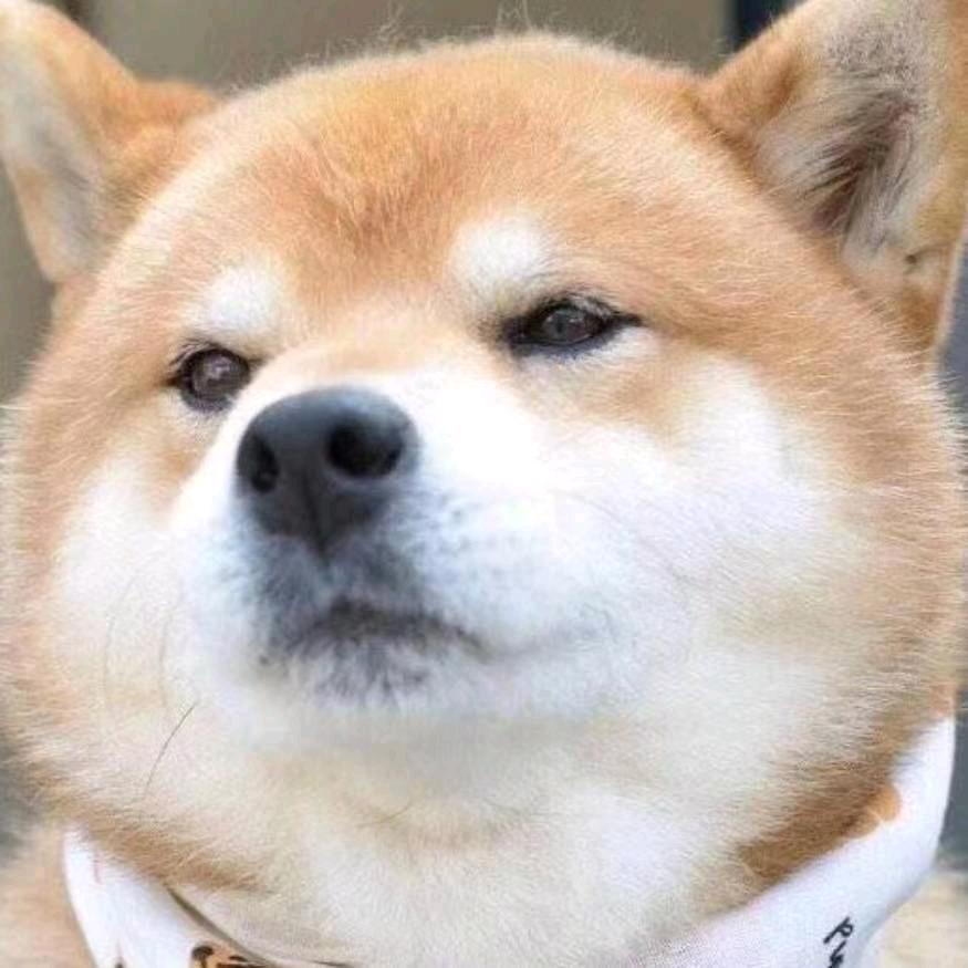 无邪（三角洲行动）