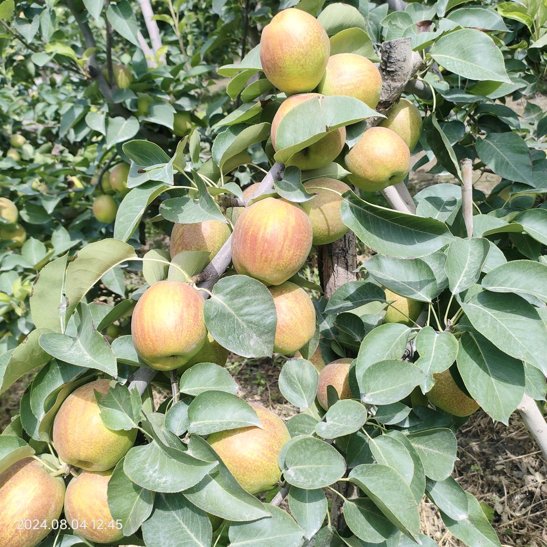 外墙保温陶彩真石漆