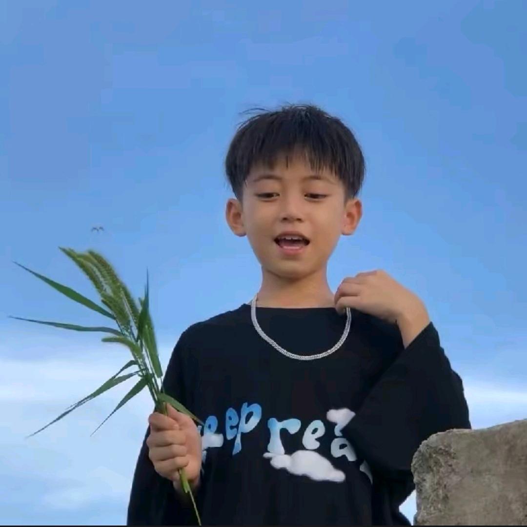 岸上