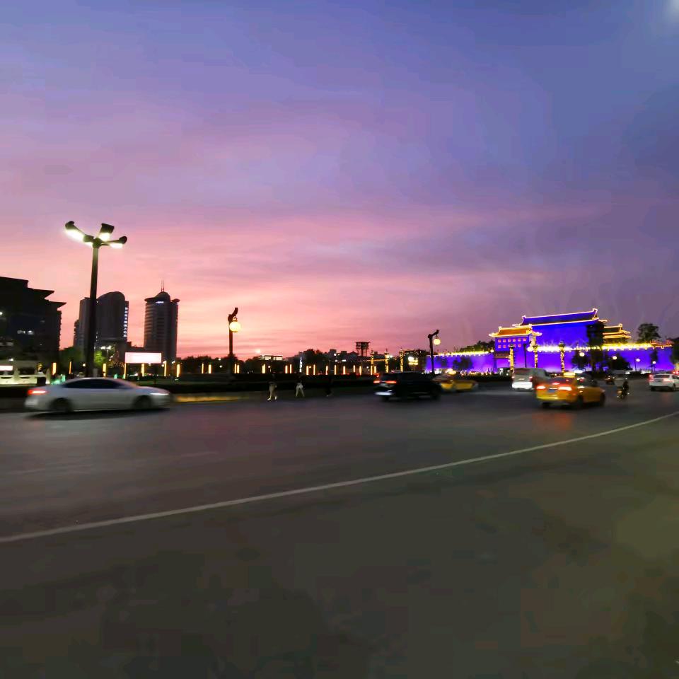 露露丽