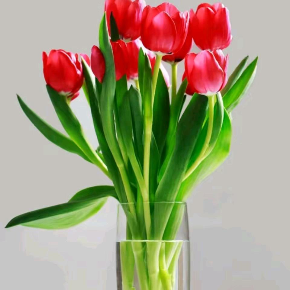 🚬ಇ᭄戒烟戒酒࿆ྃ不໊戒你࿐