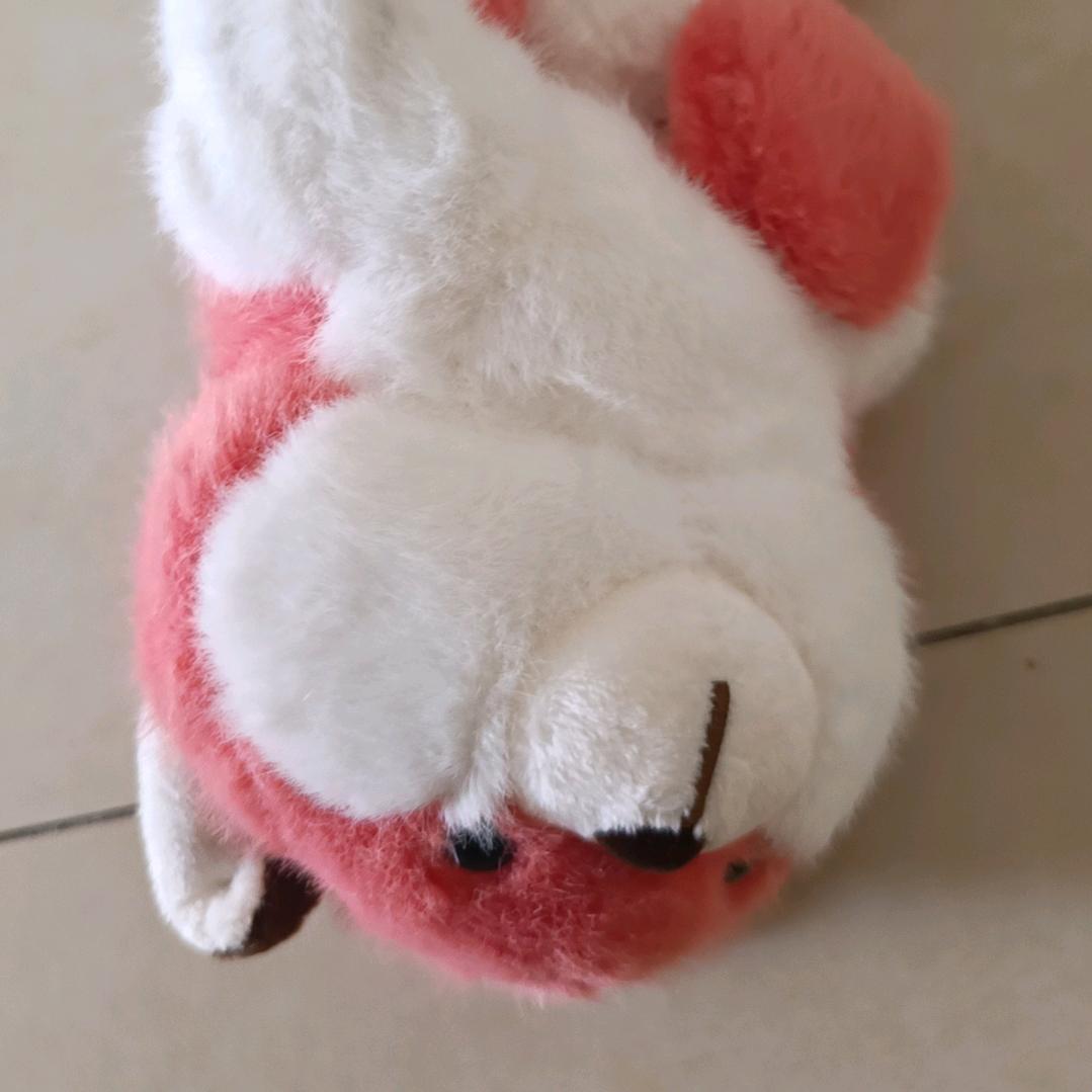 人生匆匆