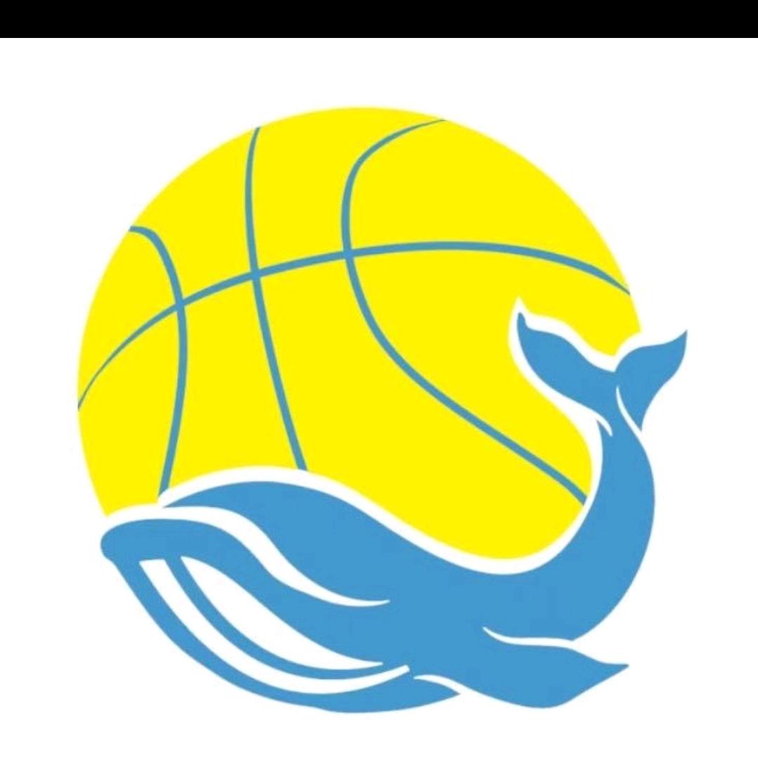 篮鲸体育_燕莎校区