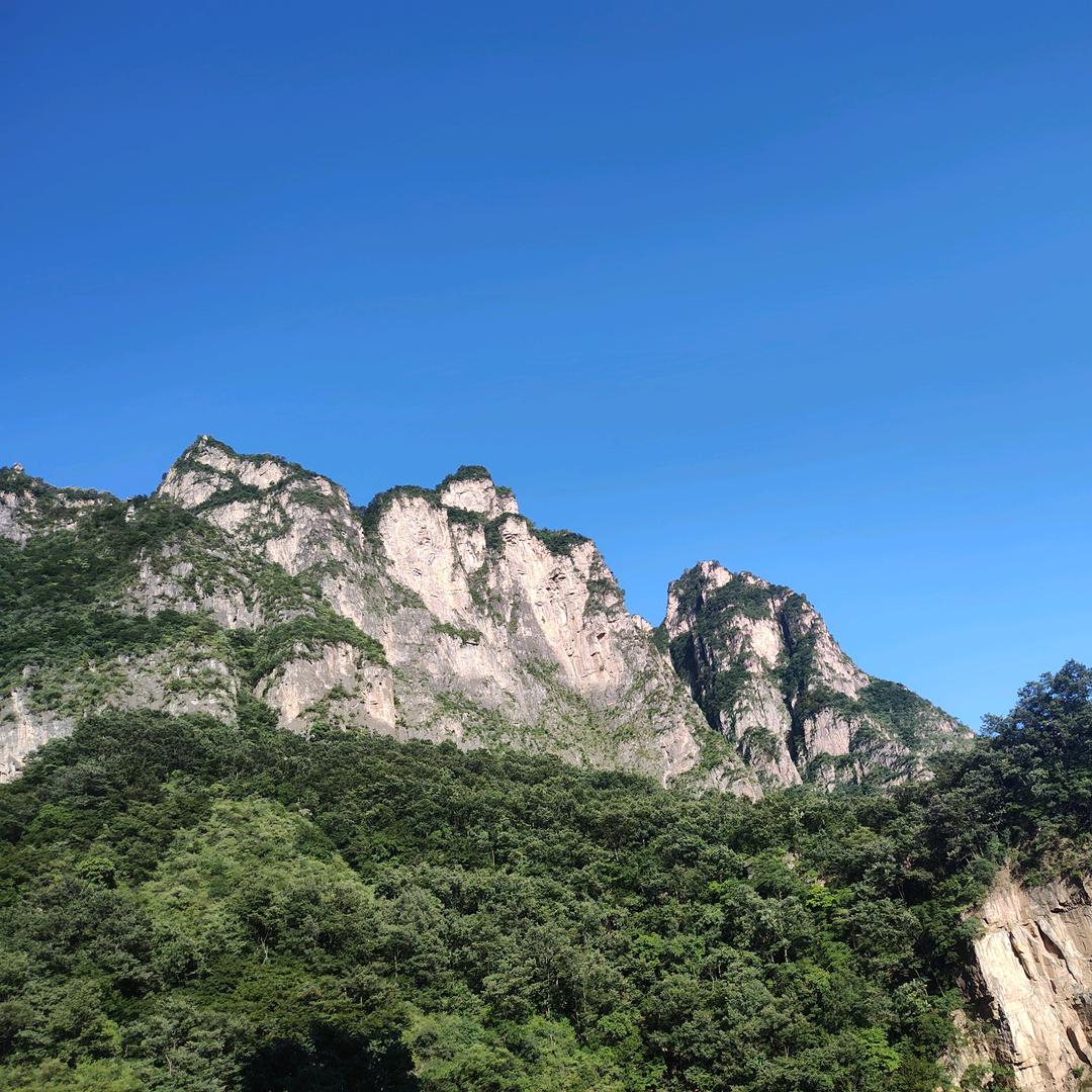 陈，，，