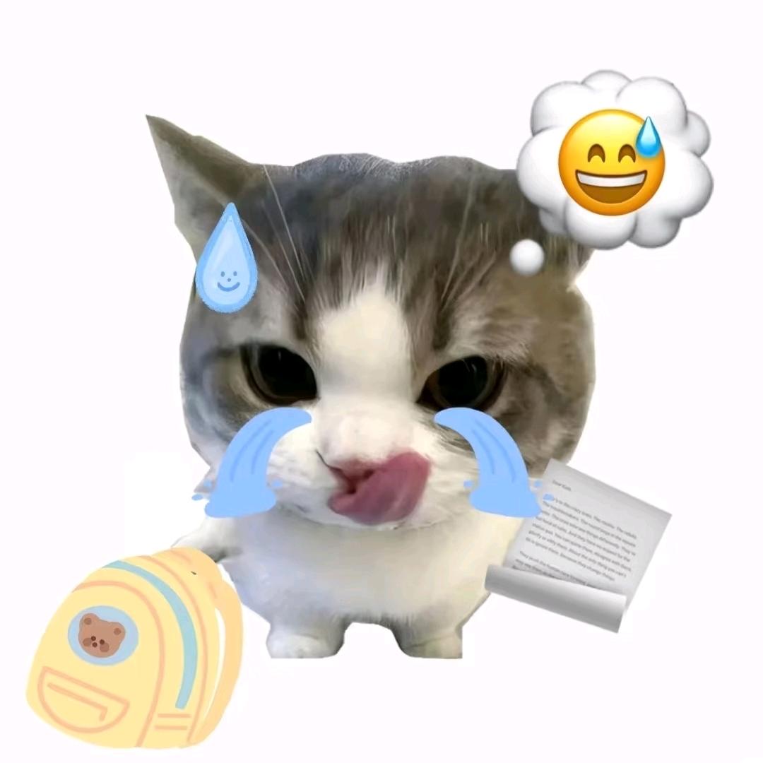 小t
