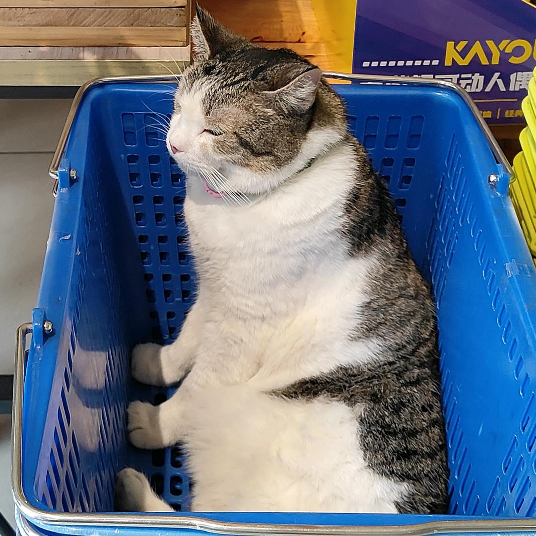 日日等出梁同学