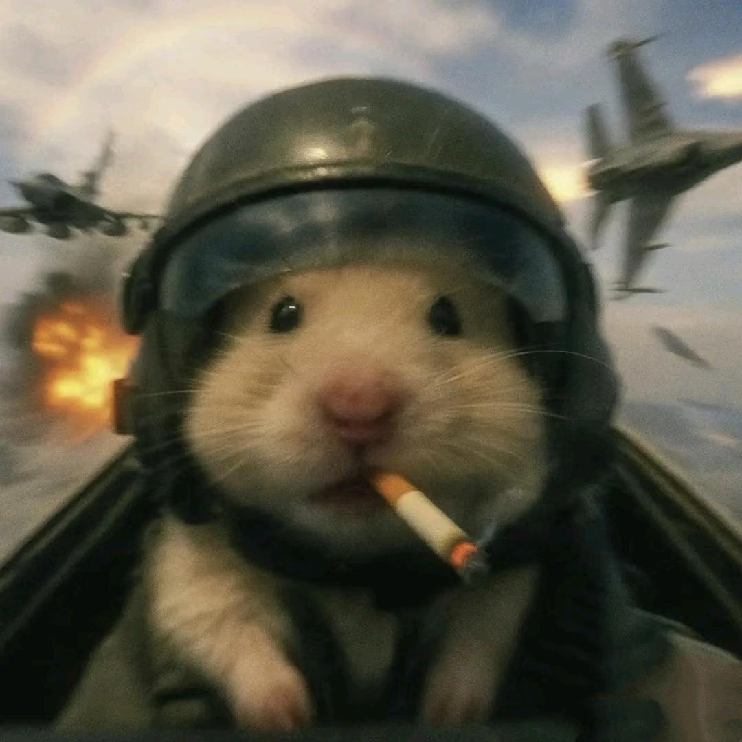 暗区pc鼠王（跑刀）