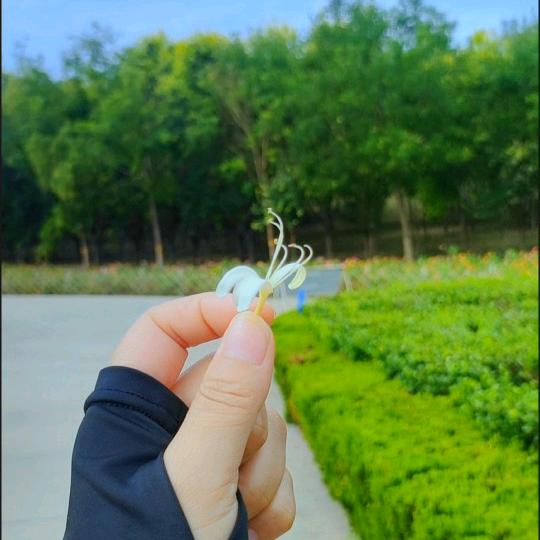 🦋余生᭄🕊随心