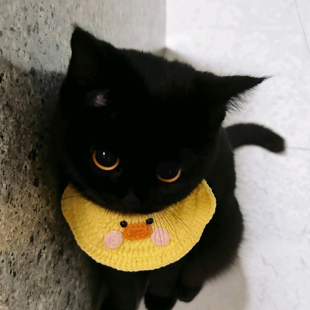 还想再吃一口饭🍚🍚