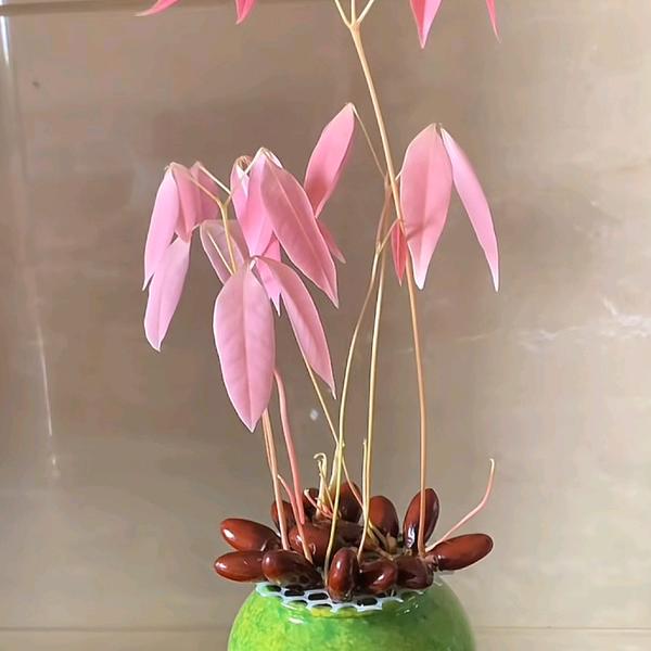 越来越好