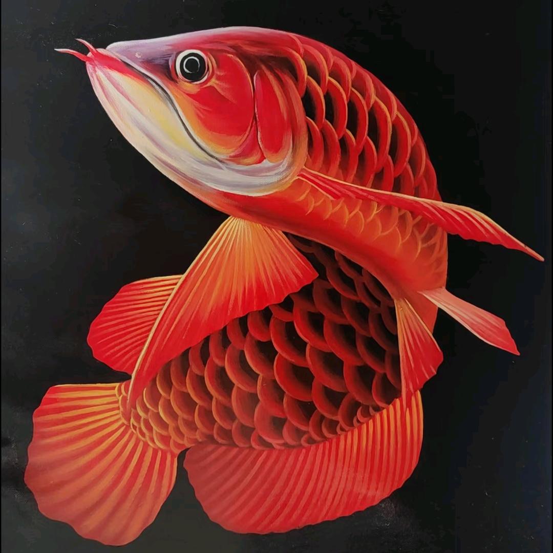 捡漏数码
