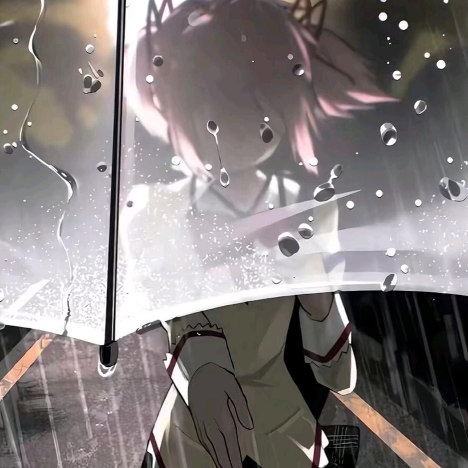 怜惜（小国少司缘空空儿）