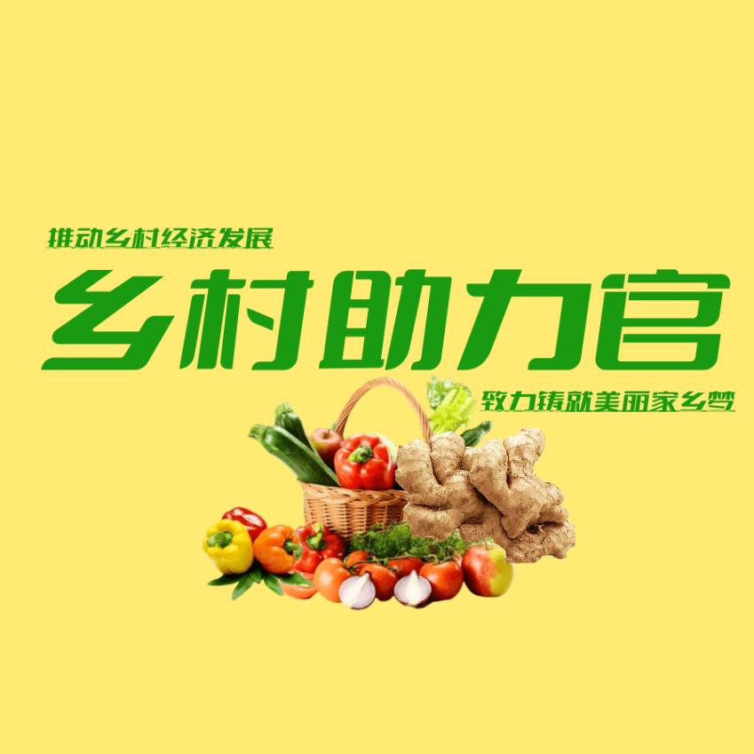 农言农语乡村助力