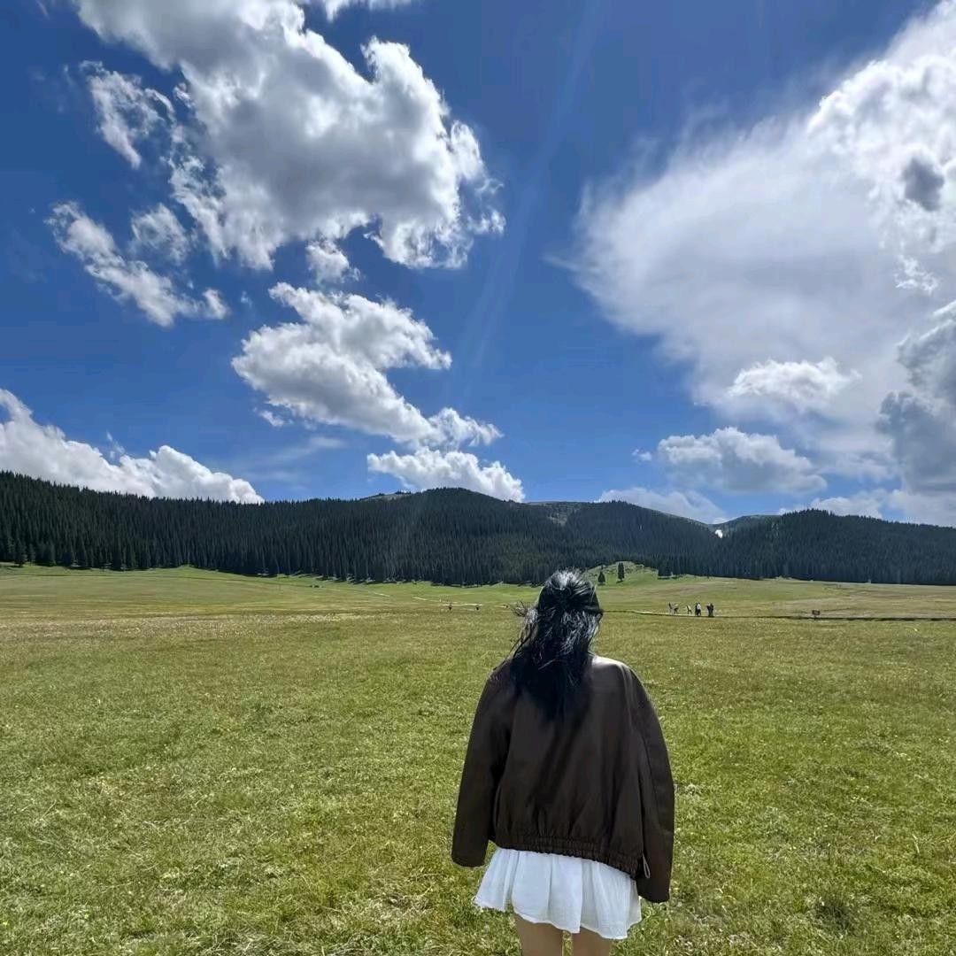 云南旅游咨询咨询