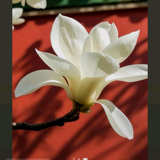 💞️秋榕💞️