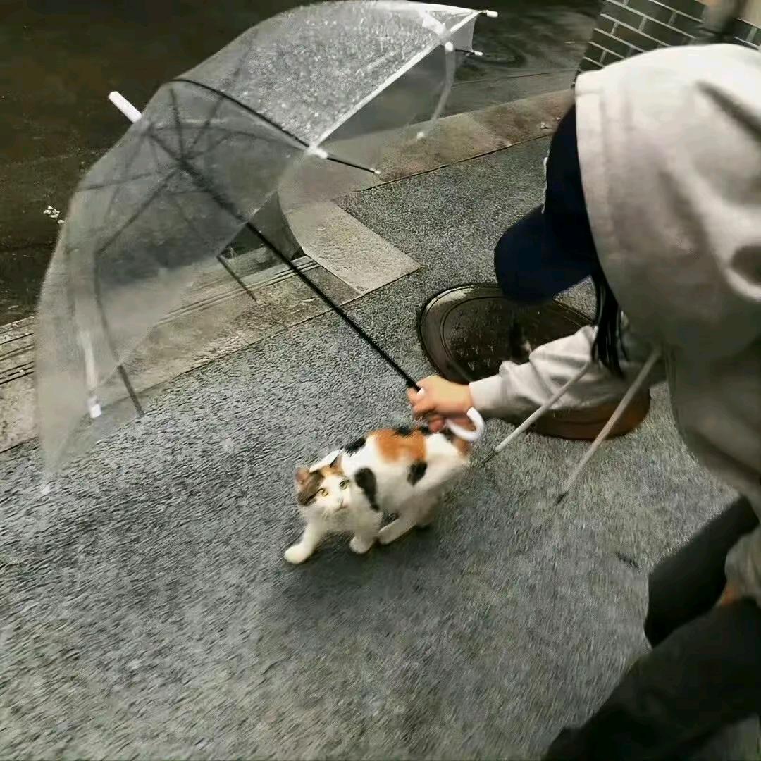 读史使人明智。