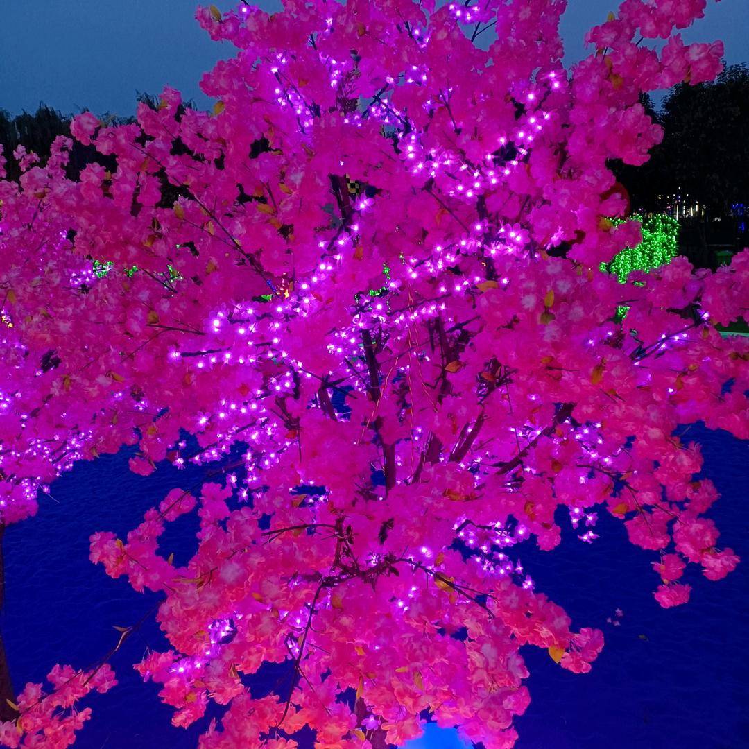 🕊꧔ꦿ封℘⸙訫এ᭄锁꧔ꦿ℘爱⸙