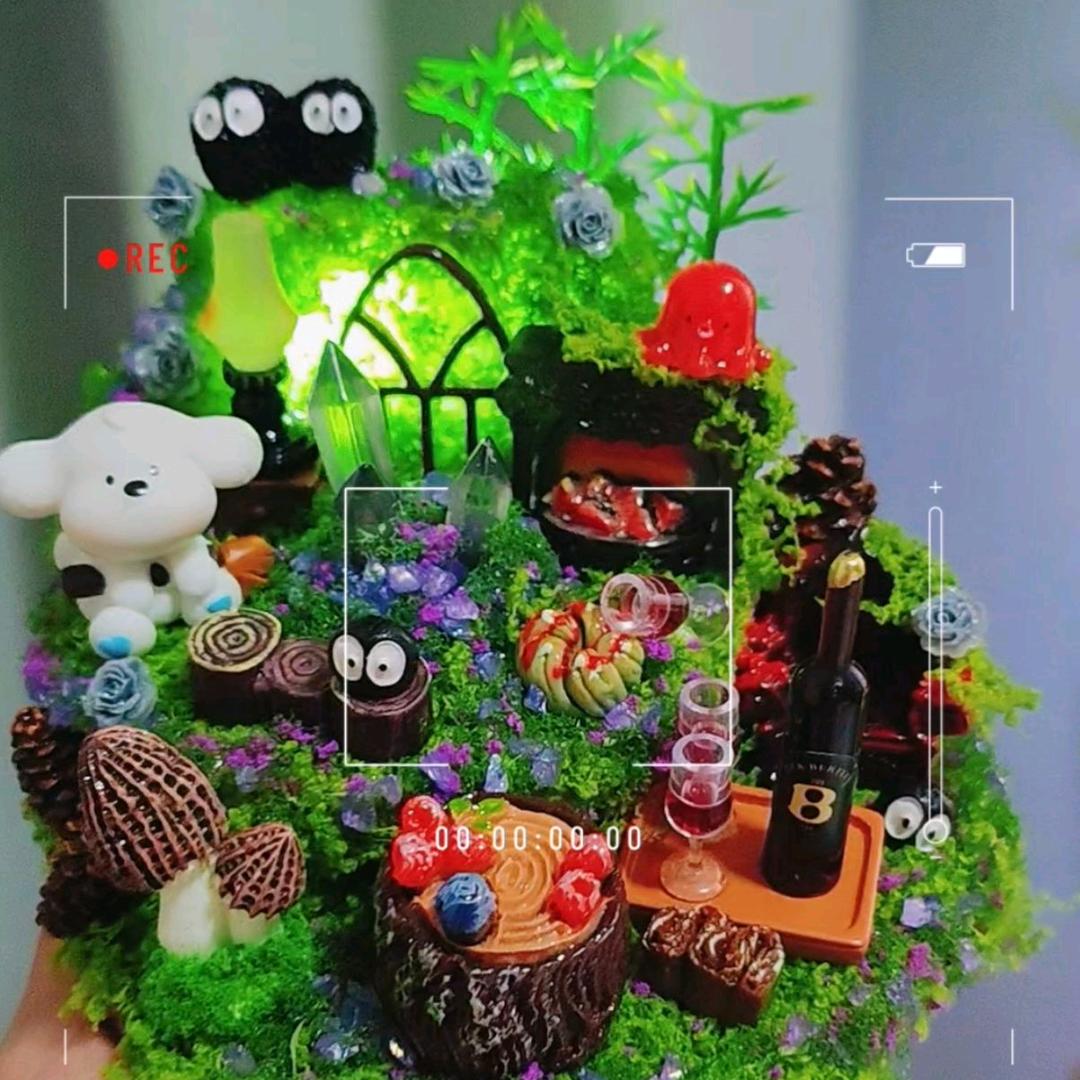 ✨🌈李子家diy