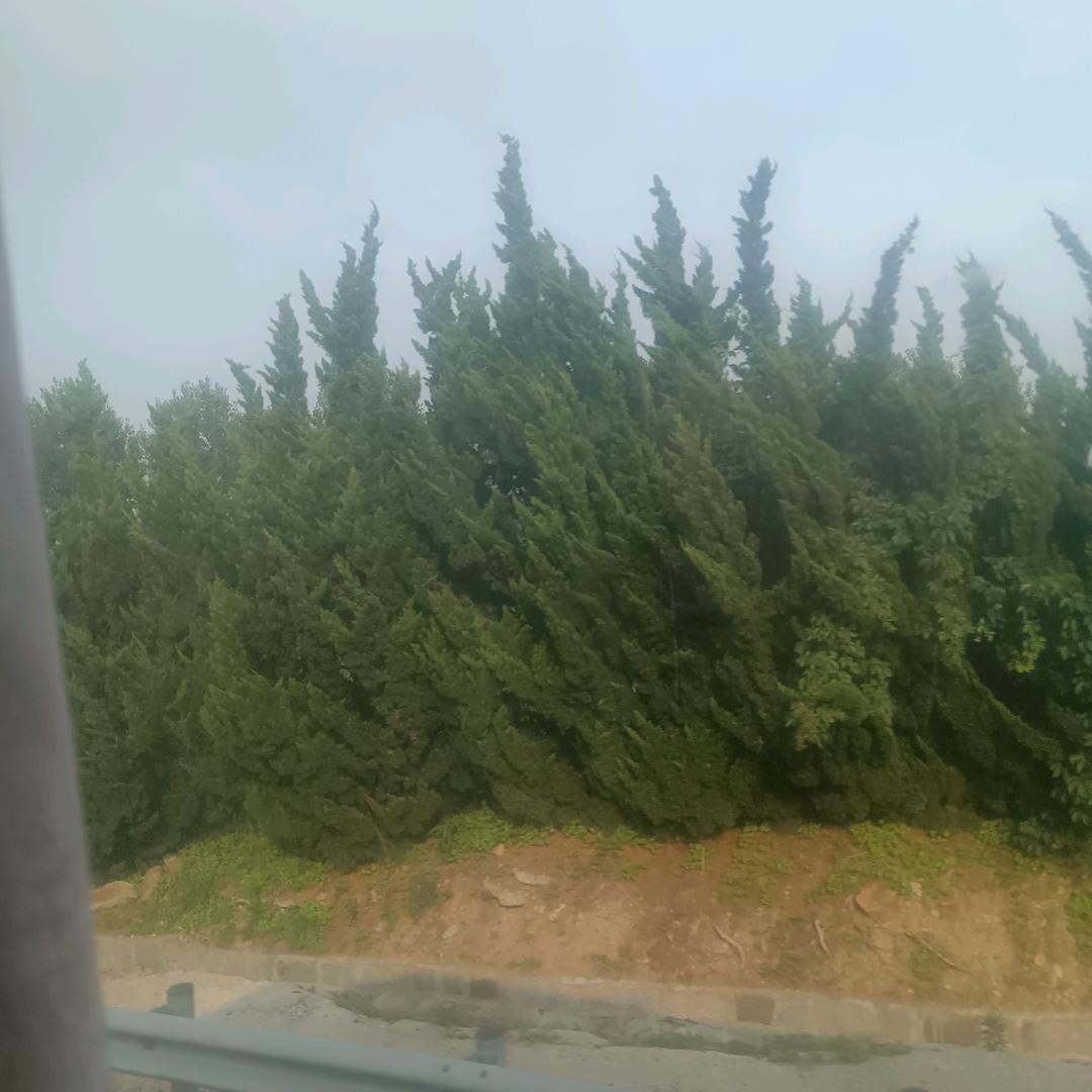 农村菇凉(已减63斤)