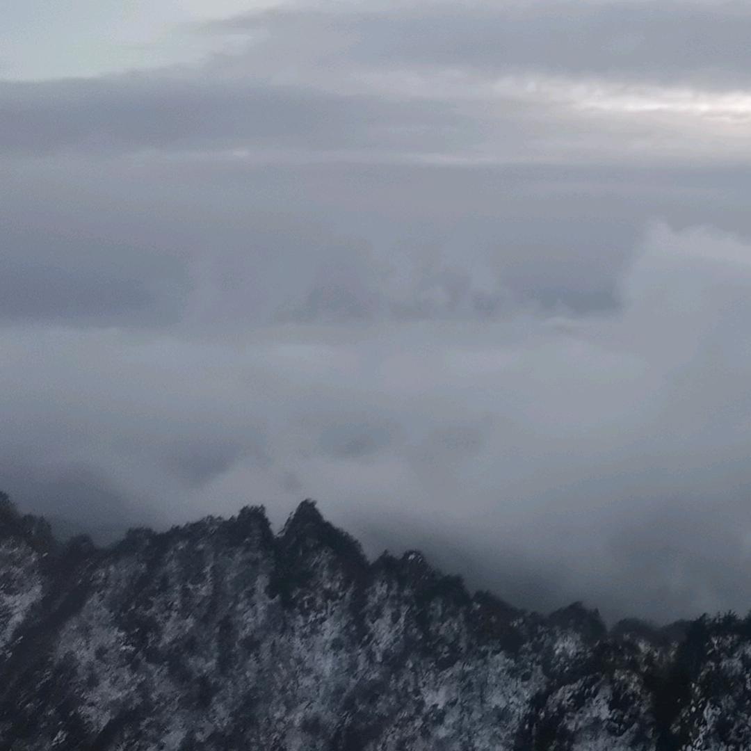 随☞风🌬️飘☞扬