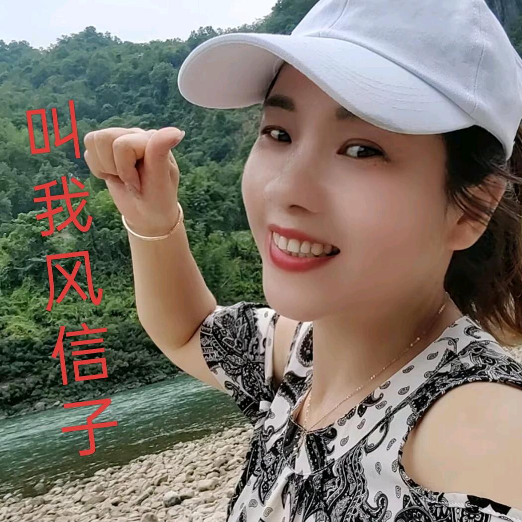 🌹（风信子）🌹