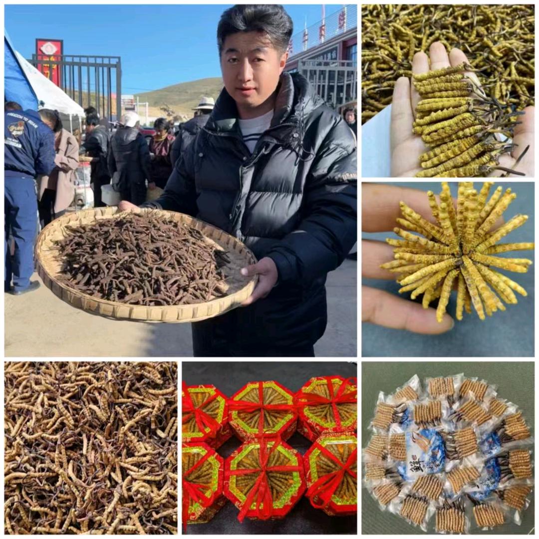 桃花村主任   小仁争