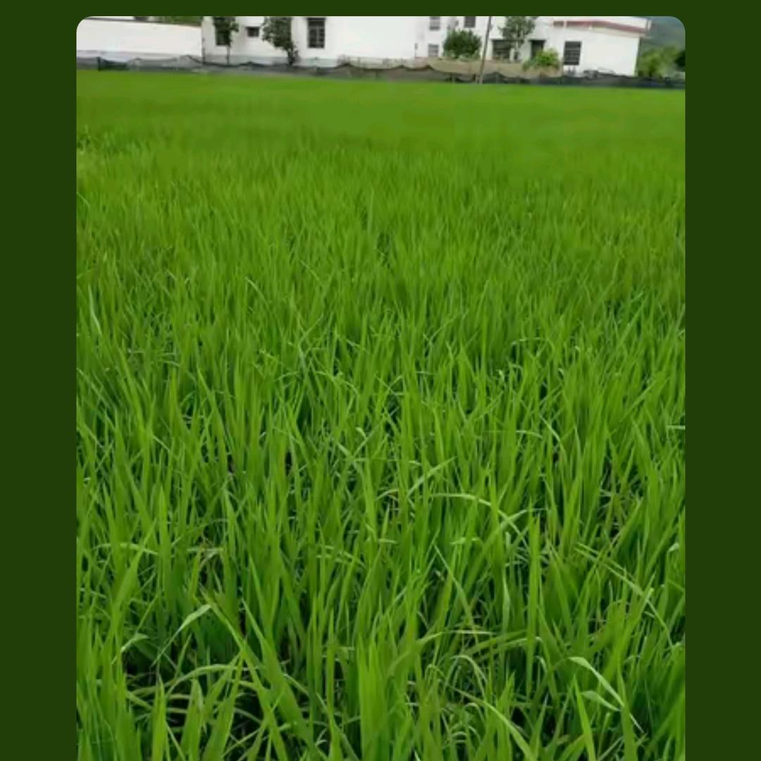 车到山前必有路