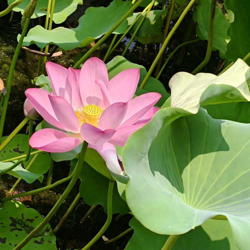 不着水