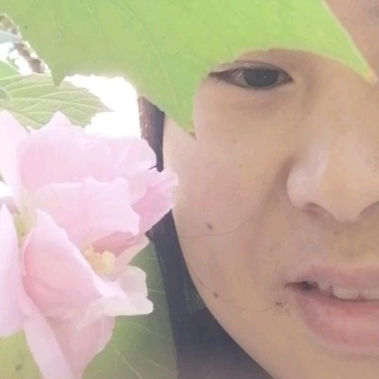 山花烂漫时