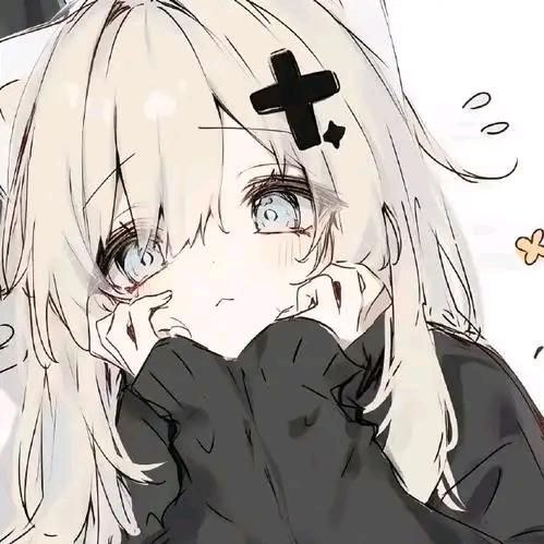 星耀法刺猴
