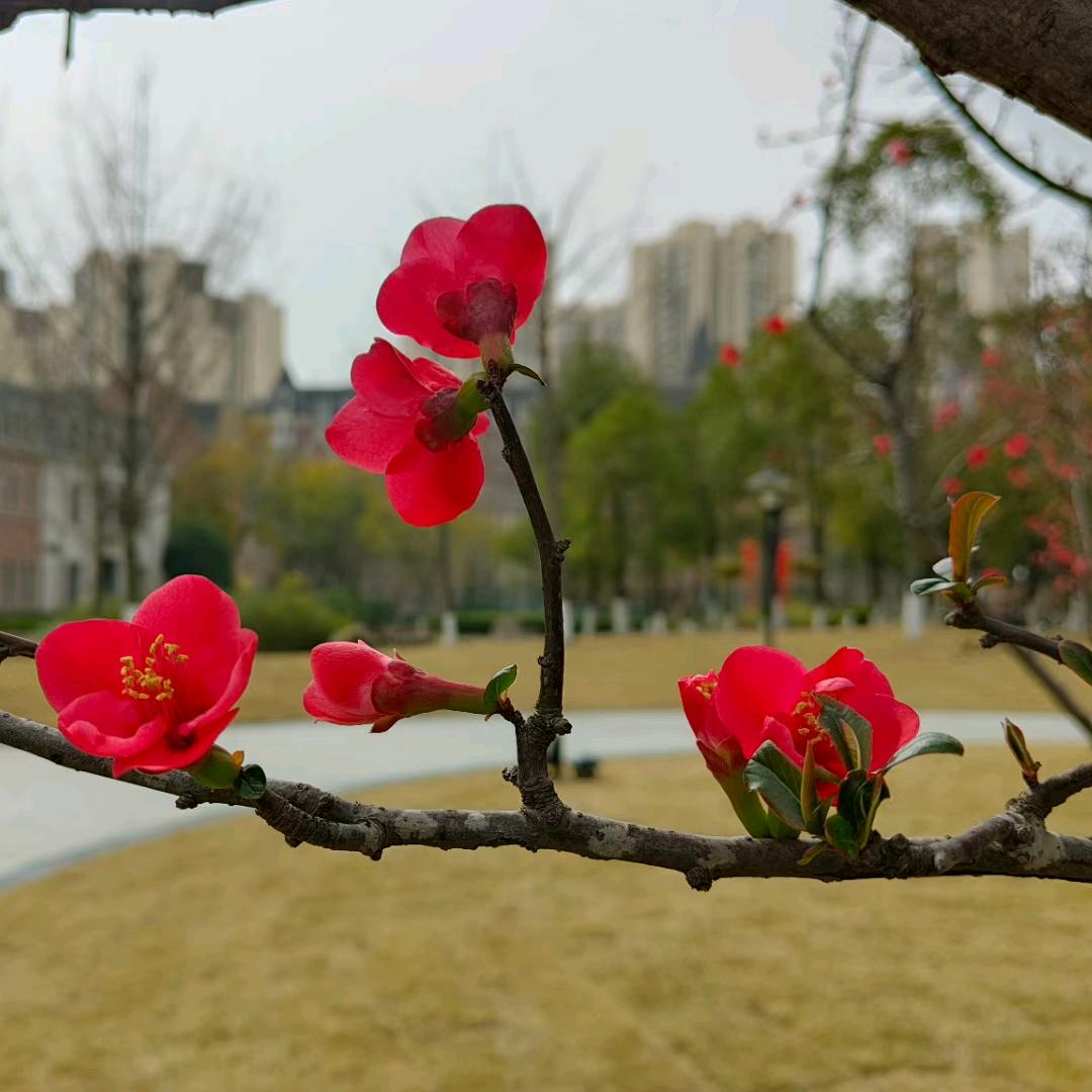 蓝色绿水