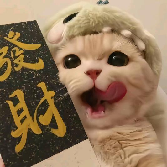 肆肆